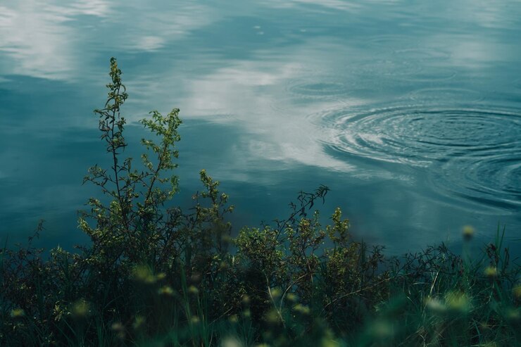 Foto schöner blick auf den see