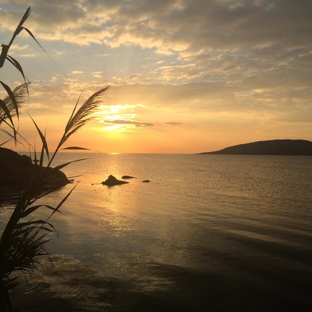 Foto schöner blick auf den sonnenuntergang über dem meer