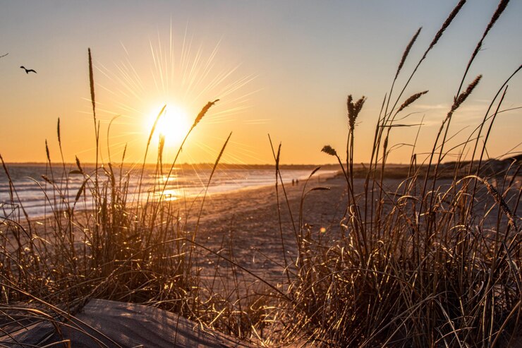 Foto schöner blick auf den sonnenuntergang über dem strand