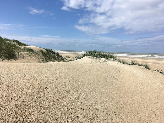 Schöner Blick auf den Strand gegen den Himmel