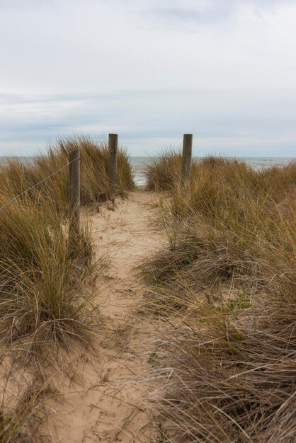 Foto schöner blick auf den strand gegen den himmel