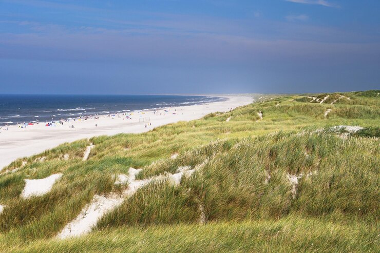 Foto schöner blick auf den strand gegen den himmel