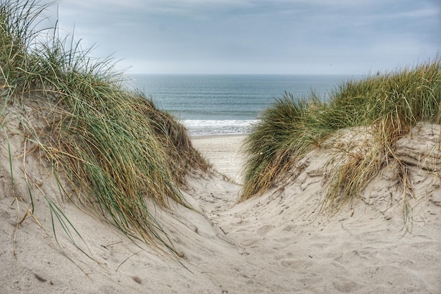 Foto schöner blick auf den strand gegen den himmel