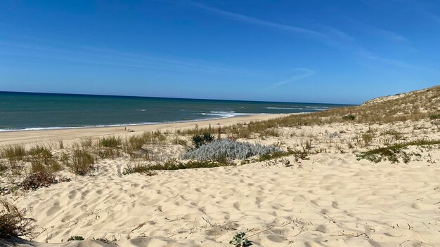 Schöner Blick auf den Strand gegen den Himmel