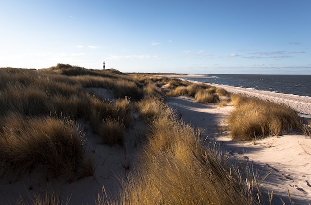 Foto schöner blick auf den strand gegen den himmel