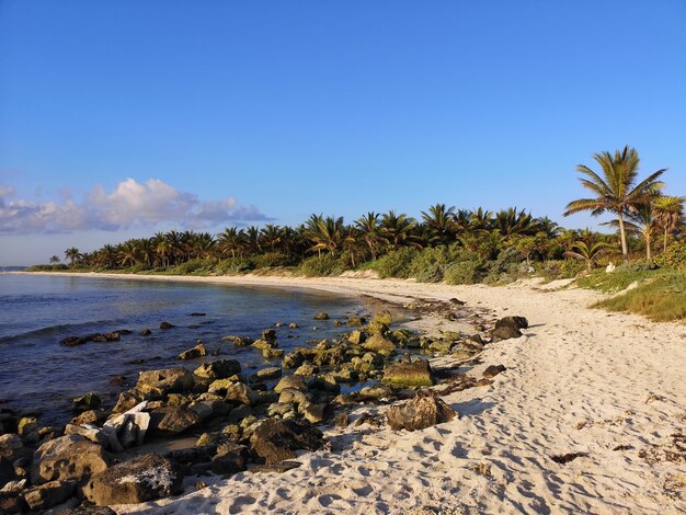 Foto schöner blick auf den strand gegen den himmel