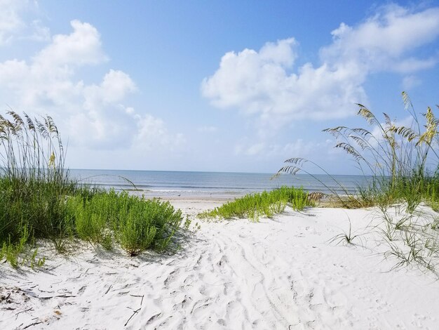 Foto schöner blick auf den strand gegen den himmel