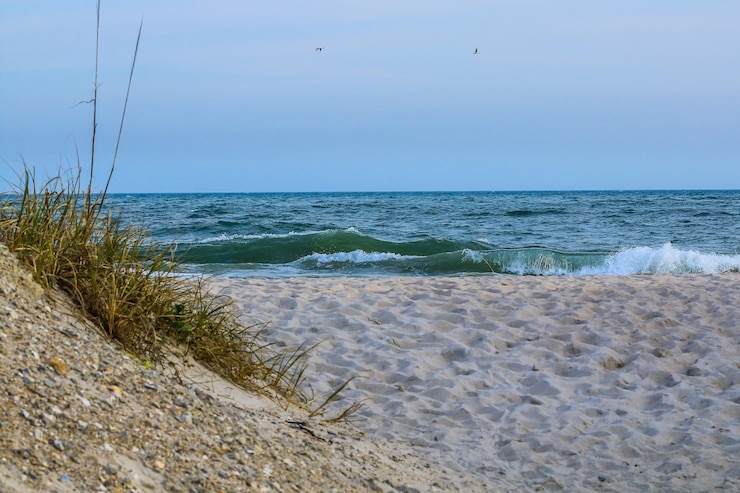Foto schöner blick auf den strand gegen den himmel