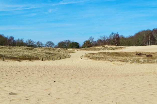 Schöner Blick auf den Strand gegen den Himmel