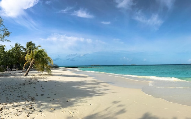 Schöner Blick auf den Strand gegen den Himmel