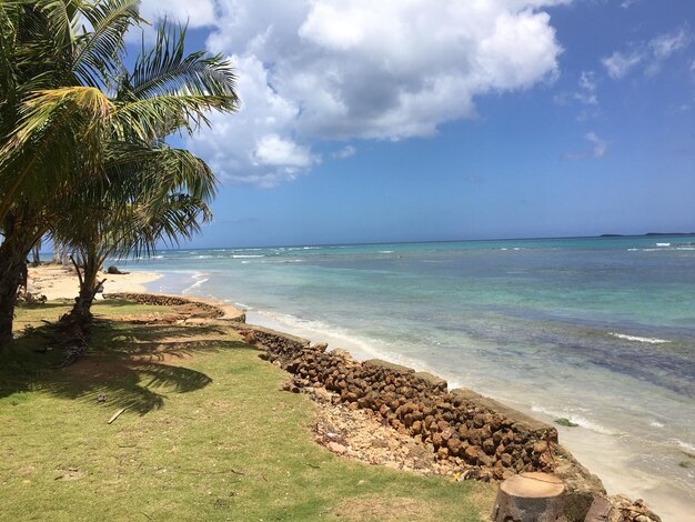 Foto schöner blick auf den strand gegen den himmel