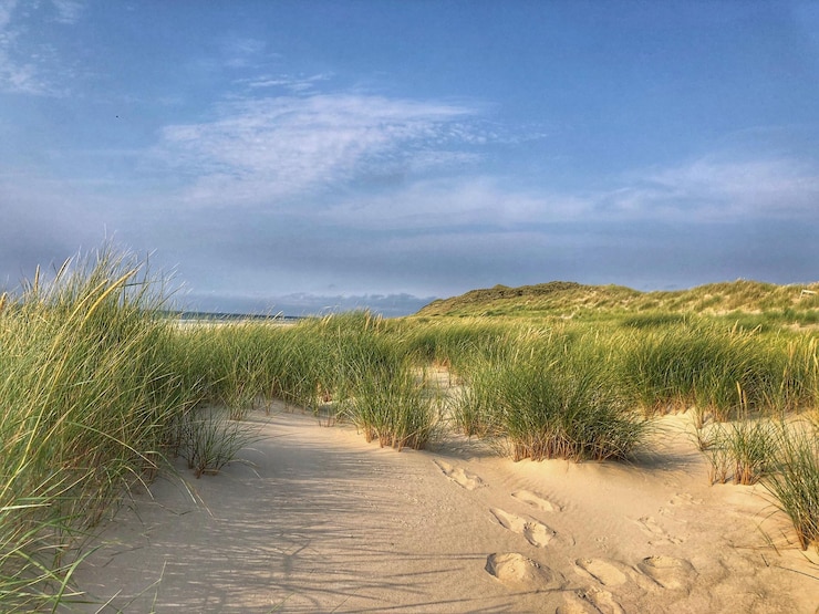 Foto schöner blick auf den strand gegen den himmel