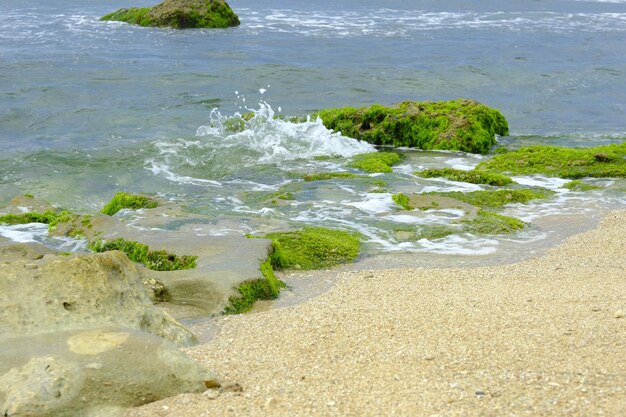 Foto schöner blick auf den strand von watu lawang gunung kidul yogyakarta indonesien