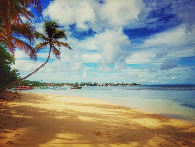 Foto schöner blick auf den strand vor bewölktem himmel