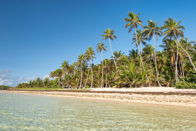 Schöner Blick auf den Strand vor blauem Himmel