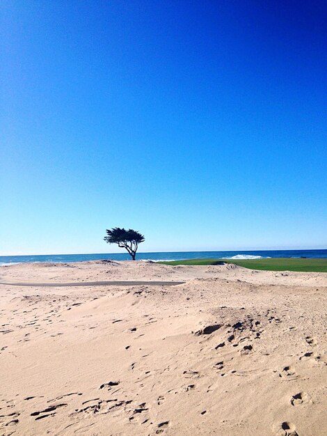 Foto schöner blick auf den strand vor blauem himmel