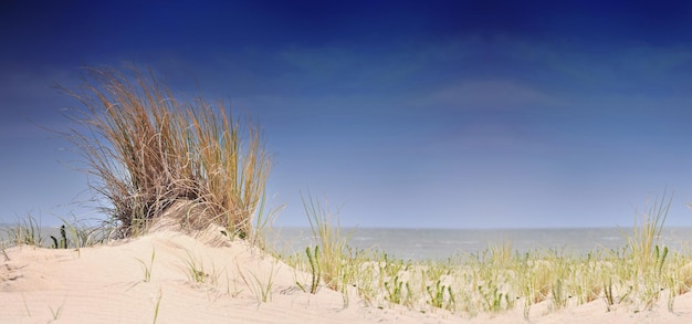 Schöner Blick auf den Strand vor blauem Himmel