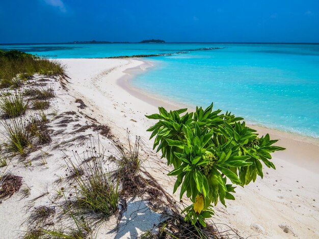 Foto schöner blick auf den strand vor blauem himmel