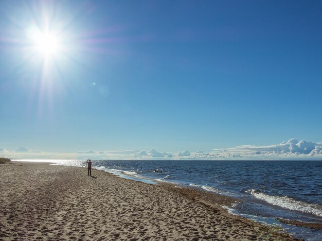 Foto schöner blick auf den strand vor klarem blauen himmel