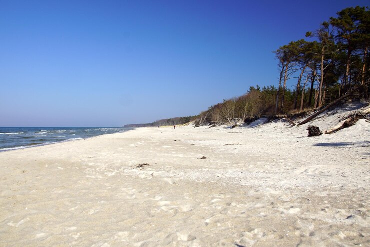 Foto schöner blick auf den strand vor klarem blauen himmel