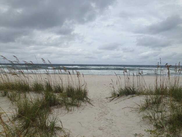 Foto schöner blick auf den strand