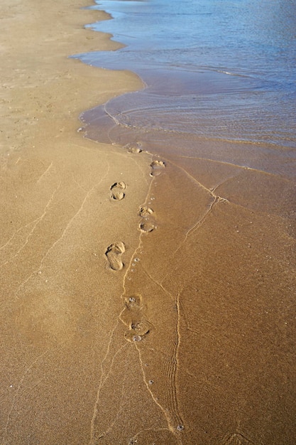 Foto schöner blick auf den strand