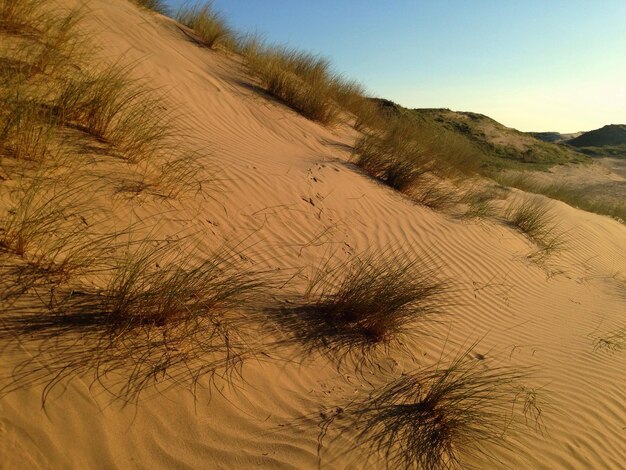 Schöner Blick auf den Strand