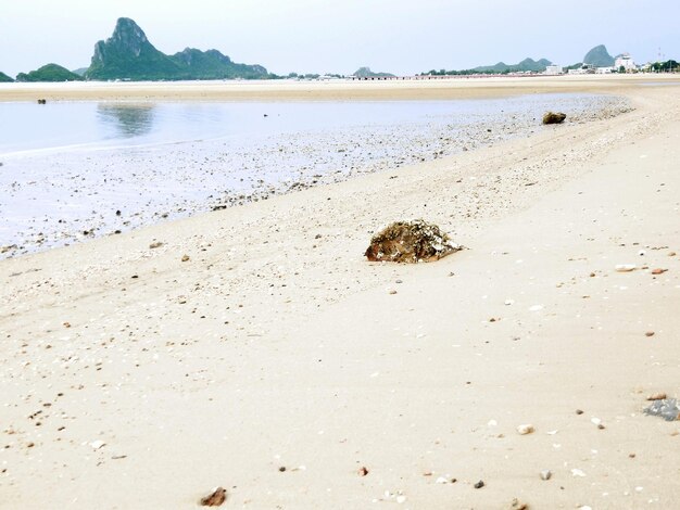 Schöner Blick auf den Strand