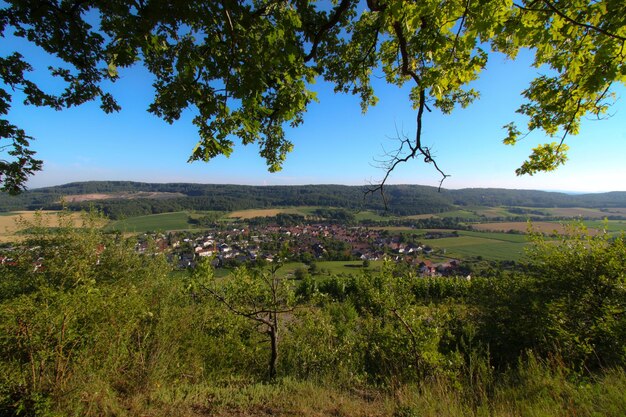 Foto schöner blick auf den weinberg vor dem blauen himmel