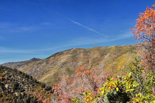 Foto schöner blick auf die berge gegen den blauen himmel