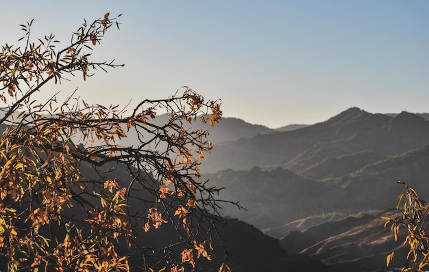 Foto schöner blick auf die berge vor klarem himmel