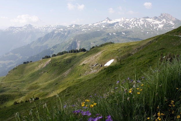 Foto schöner blick auf die berge