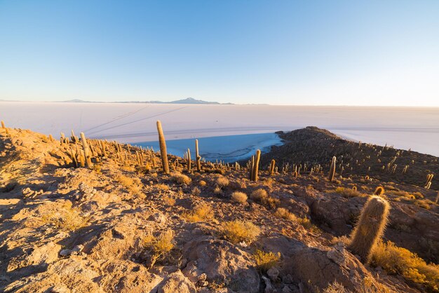 Foto schöner blick auf die wüste vor klarem himmel