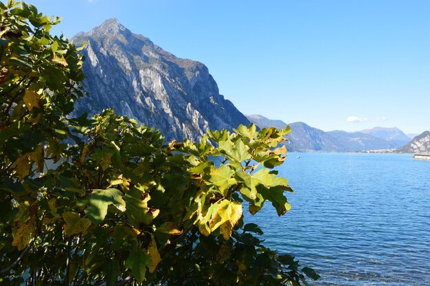 Schöner Blick auf Meer und Berge vor klarem blauem Himmel