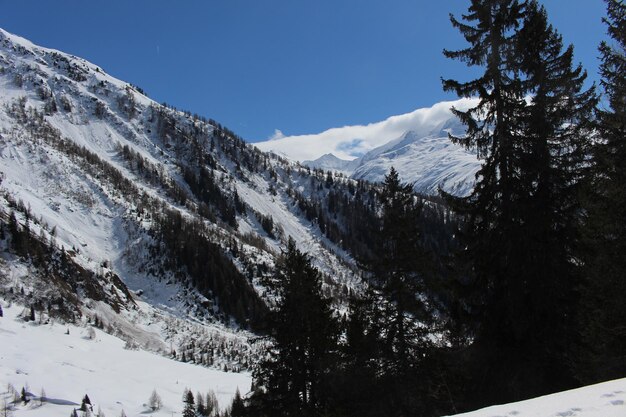 Schöner Blick auf schneebedeckte Berge