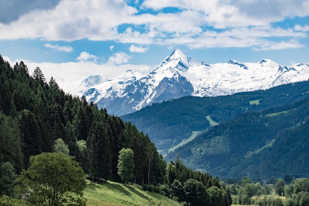 Schöner Blick auf Wald und Berge vor bewölktem Himmel
