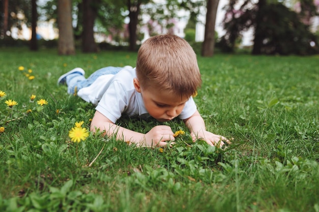 Schöner blonder Junge, süßer Junge, der im Gras auf einem Blumenfeld mit Löwenzahn liegt