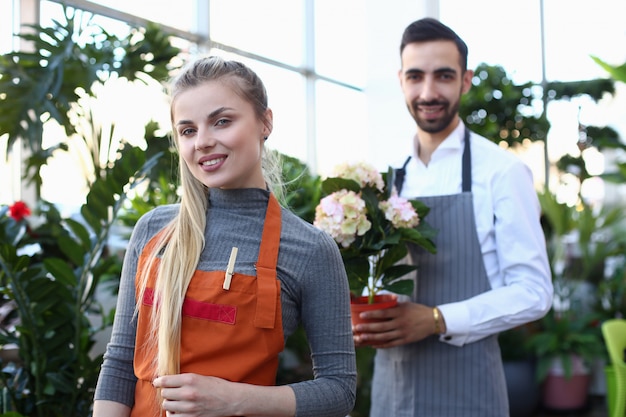 Schöner Blondine-Florist und Mann mit Blume. Lächelnder Mädchen-Gärtner und Mann, die weiße blühende Hortensie in der inländischen Betriebsmitte halten.