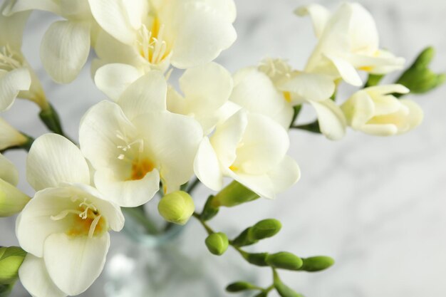 Schöner Blumenstrauß aus Frühlings-Freesie-Blumen auf farbigem Hintergrund in der Nähe