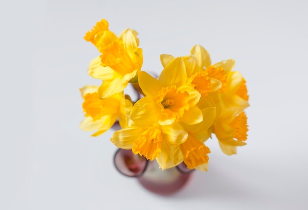 Schöner Blumenstrauß aus frühlingsgelben Narzissen in einer Glasvase