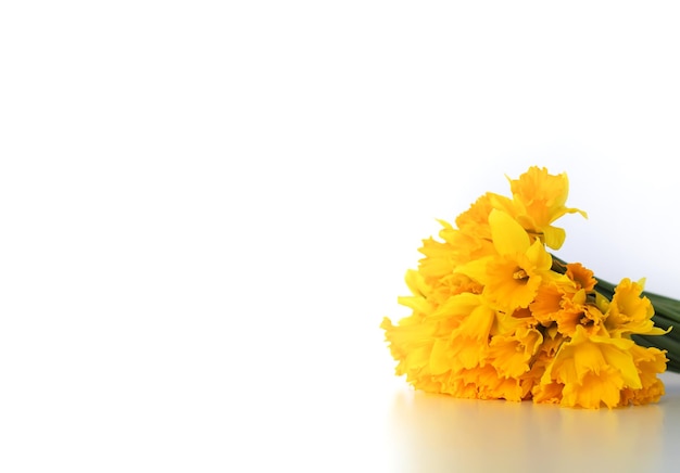 Schöner Blumenstrauß aus frühlingsgelben Narzissenblumen oder Narzissenpflanzen auf weißem Hintergrund