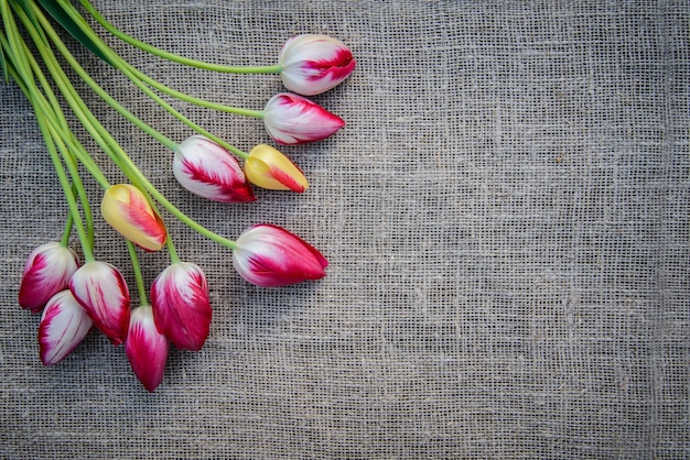 Schöner Blumenstrauß aus leuchtend rosa und gelben bunten Tulpen auf Leinwandoberfläche