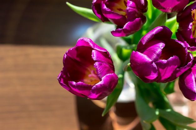 Schöner Blumenstrauß aus lila Tulpen Ansicht von oben Blumenstrauß auf der Fensterbank