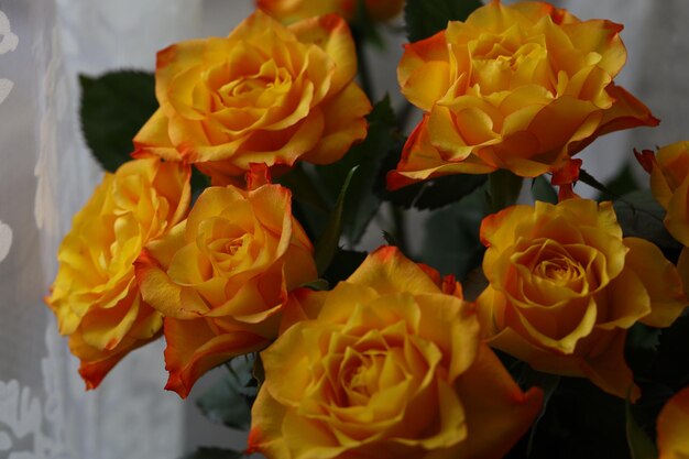 Schöner Blumenstrauß aus orangefarbenen Rosen mit zarten Blütenblättern am Fenster