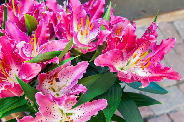 Schöner Blumenstrauß aus rosa Lilien auf Kopfsteinpflaster