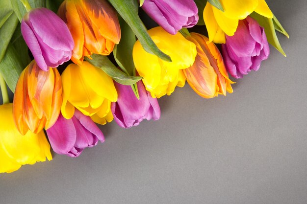 schöner Blumenstrauß aus Tulpenblumen auf grauem Hintergrund