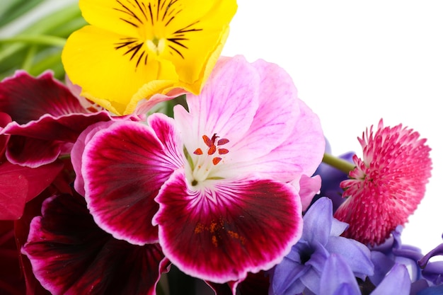 Schöner Blumenstrauß der hellen Blumen schließen