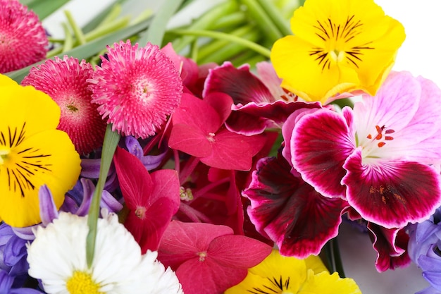 Schöner Blumenstrauß der hellen Blumen schließen