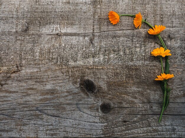 Schöner Blumenstrauß von blühenden, hellen Blumen. Nahansicht.