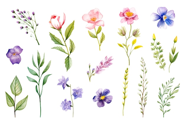 Schöner botanischer Aquarellblumen-Hintergrund